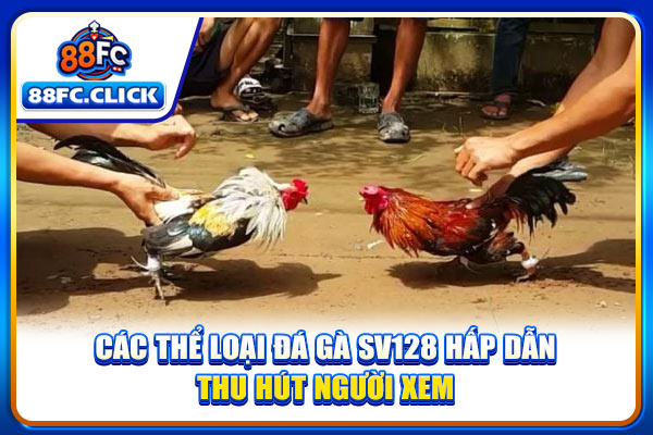 Các thể loại đá gà SV128 hấp dẫn thu hút người xem