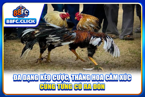 Đa dạng kèo cược, thăng hoa cảm xúc cùng từng cú ra đòn