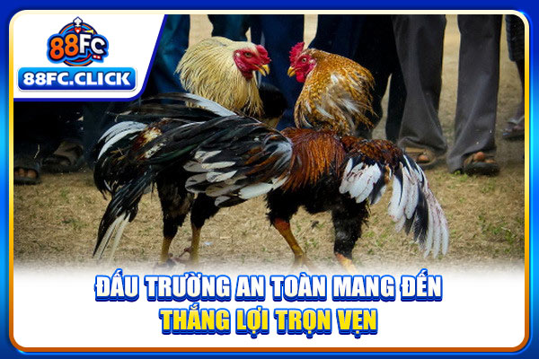 Đấu trường an toàn mang đến thắng lợi trọn vẹn