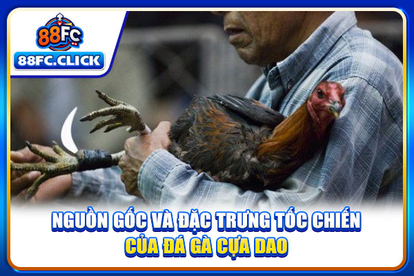 Nguồn gốc và đặc trưng tốc chiến của đá gà cựa dao