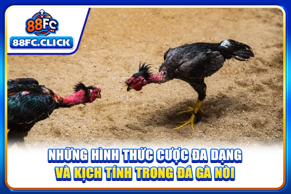 Những hình thức cược đa dạng và kịch tính trong đá gà nòi