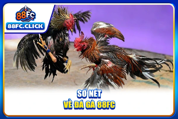 Sơ nét về đá gà 88FC