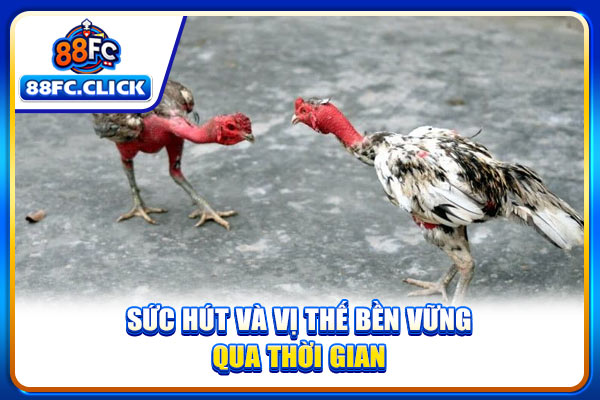 Sức hút và vị thế bền vững qua thời gian